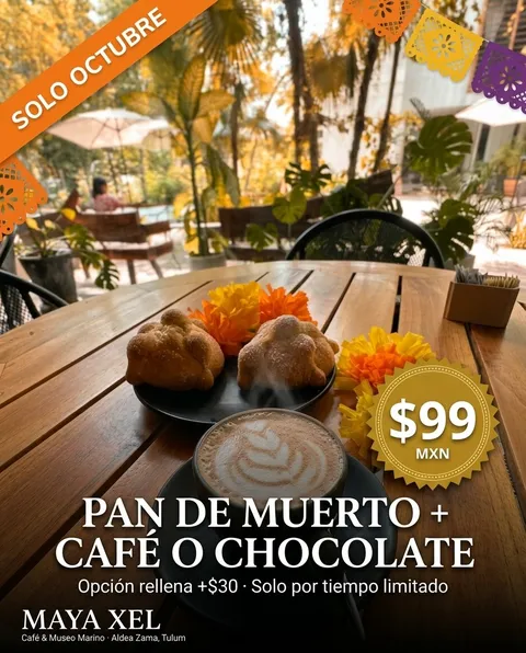 Pan de muerto con café de especialidad en la terraza de Maya Xel, promoción de octubre