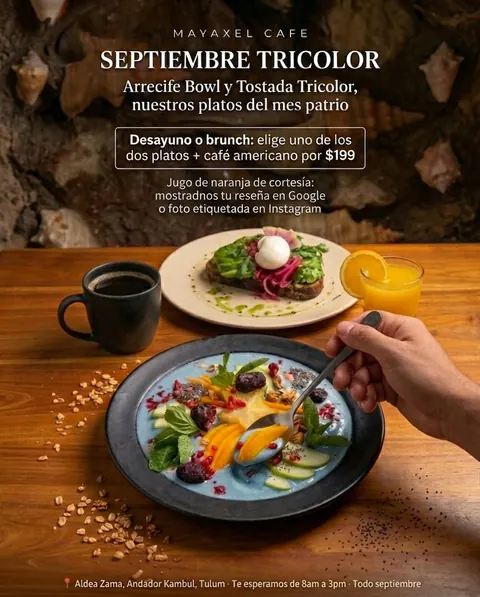 Arrecife Bowl y Tostada Tricolor servidos en mesa de madera, promoción de septiembre en Maya Xel